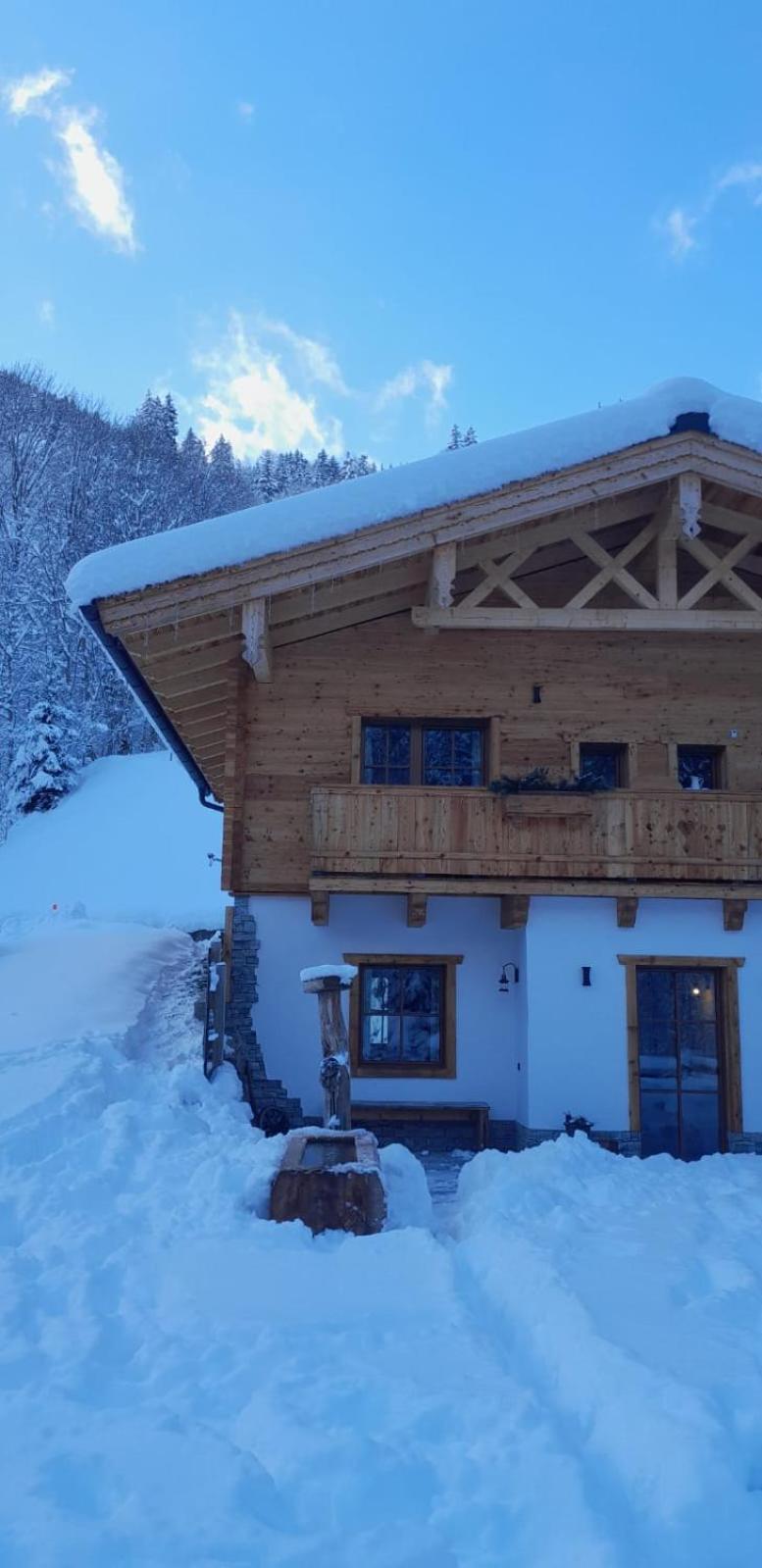 Riedlfeld Chalet Dienten am Hochkönig Eksteriør billede